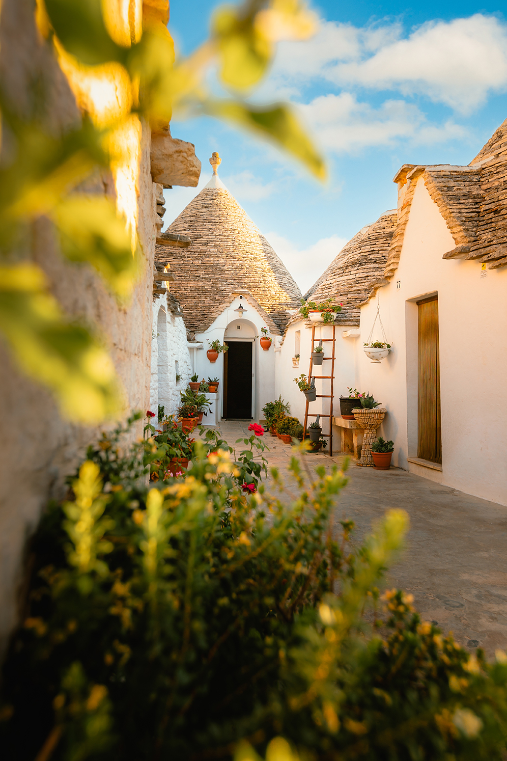 Alberobello e dintorni